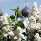 О нестяжании