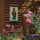 Под пречистый Покров Твой прибегаем