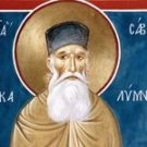 7 апреля. Преподобный Савва Новый, иеромонах