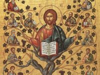 Господь Иисус Христос — лоза